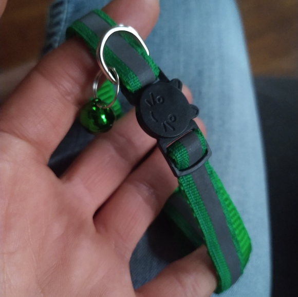 Cat with Bell, Reflective & Adjustable Breakaway green Collar - Picture 2 of 3
